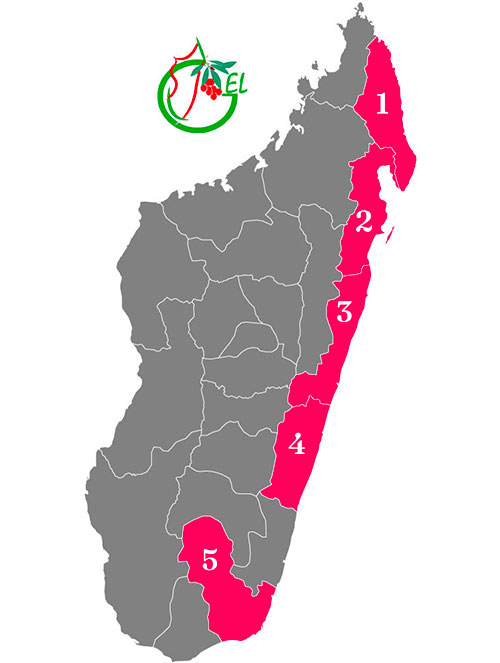 Carte régions exportatrices de litchi de Madagascar