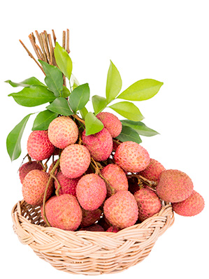 Litchi de Madagascar : charte santé et sécurité au travail