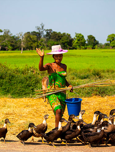Madagascar, l'Ile Rouge